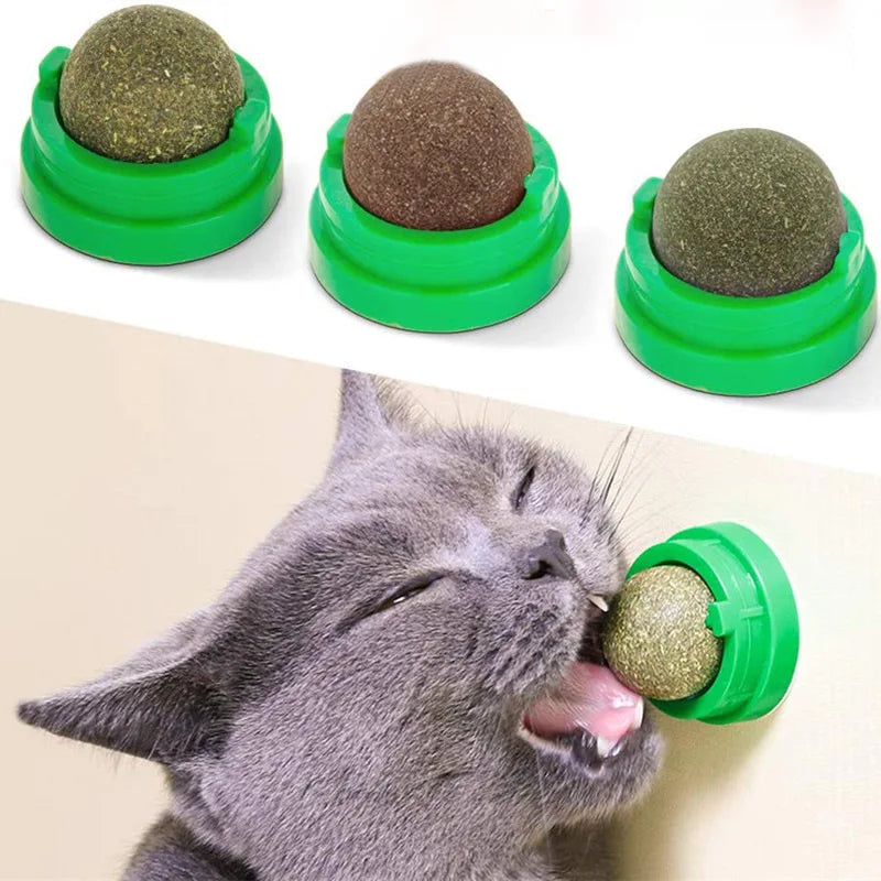 Feline FunBall: The Catnip Joy