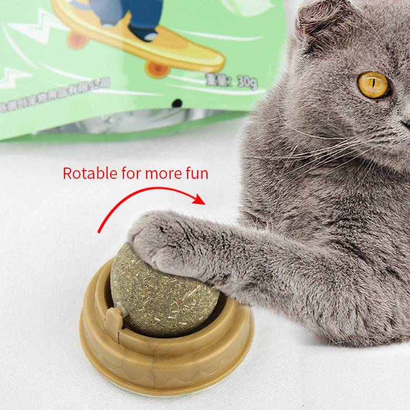 Feline FunBall: The Catnip Joy